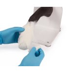 Bandage trainer canine paw