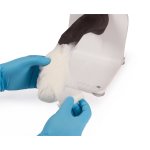 Hundepfote Verbandtrainer
