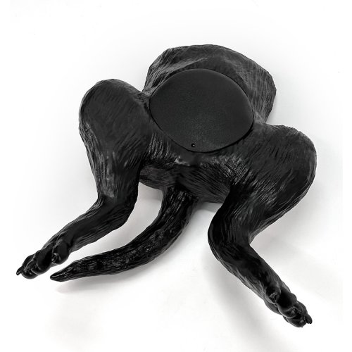 Hundeblase Ultraschalltrainer