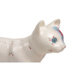 Acupuncture cat