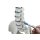 Standard spine with femur stumps, prolapse and pelvis