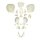 Disarticulated Human Fetal Skull, Full Term