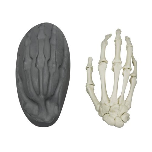 Magnetische menschliche Hand, rechts