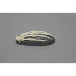 Magnetische menschliche Hand, rechts