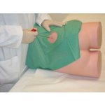 Simulator for i.m. injection and punch biopsy of the iliac crest