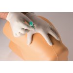 Simulator for i.m. injection and punch biopsy of the iliac crest