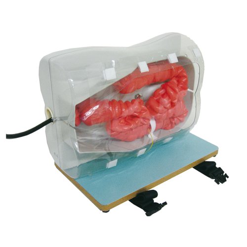 Colonoscopy Simulator