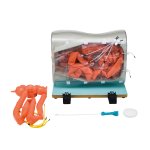 Optional small intestine extension semi-difficult
