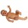 Eltern-Übungsbaby, weiblich 2,4Kg