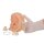 Female Contraceptive Model
