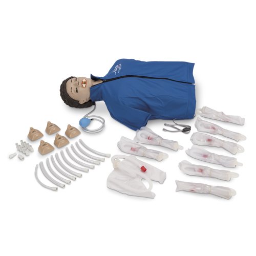 CPARLENE Torso Adult