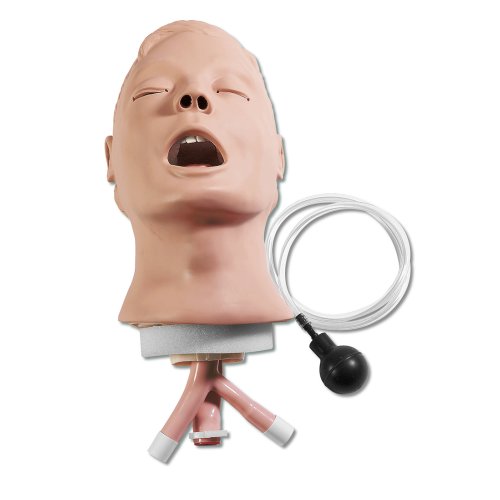 Airway Larry Head