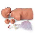 CPR Torso Brad Jr.