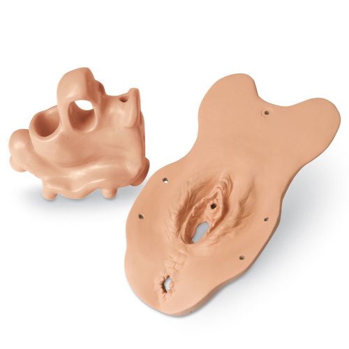Untersuchungsmodul Menopause für GM10643