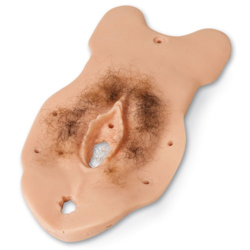 Sexual Assault Nurse Examiner (S.A.N.E.) Module