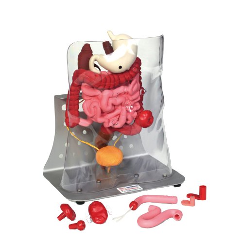 Otto Ostomy Advanced