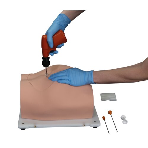 Bonnie Knochenmarkbiopsietrainer
