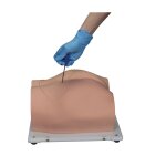 Bonnie Knochenmarkbiopsietrainer