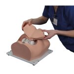 Bonnie Knochenmarkbiopsietrainer