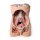 3D Posterior abdominal wall model