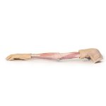 3D Arm Modell, links