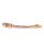 3D Arm Modell, links