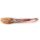 3D Forearm and hand model - superficial and deep dissection