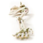 3D Upper arm - ligaments model