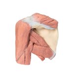 3D Shoulder model, left - superficial muscles and axillary/brachial artery