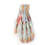 3D Hand model