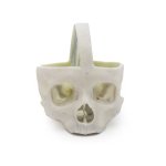 3D Dural skull model