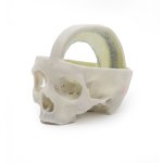 3D Dural skull model