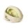 3D Dural skull model