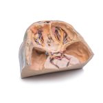 3D Obere Orbita Modell
