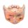 3D Obere Orbita Modell