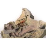 3D Mediale Orbita Modell
