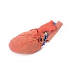 3D Heart model with distal trachea, carina and primary bronchi