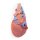 3D Heart model with distal trachea, carina and primary bronchi
