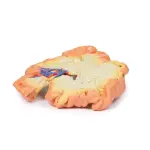 3D Bowel model - portion of jejenum