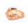 3D Bowel model - portion of jejenum