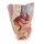 3D Pelvis and proximal thigh model, male, left