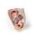3D Pelvis model, female, right - superficial and deep structures