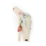 3D Knee joint model, flexed