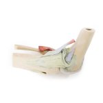 3D Knee joint model, flexed