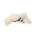 3D Knee joint model, flexed