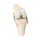 3D Knee joint model, flexed