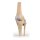 3D Knee joint model, extended