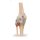 3D Knee joint model, extended