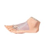 3D Fu&szlig; Modell - Plantarfl&auml;che und oberfl&auml;chliche Pr&auml;paration des Dorsum pedis