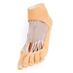 3D Fu&szlig; Modell - Plantarfl&auml;che und oberfl&auml;chliche Pr&auml;paration des Dorsum pedis